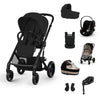 Gold Пакет Balios S Lux Ease Plus All Weather + Amya Moon Black Cybex