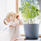 Детска играчка - фотоапарат --- BebeMama