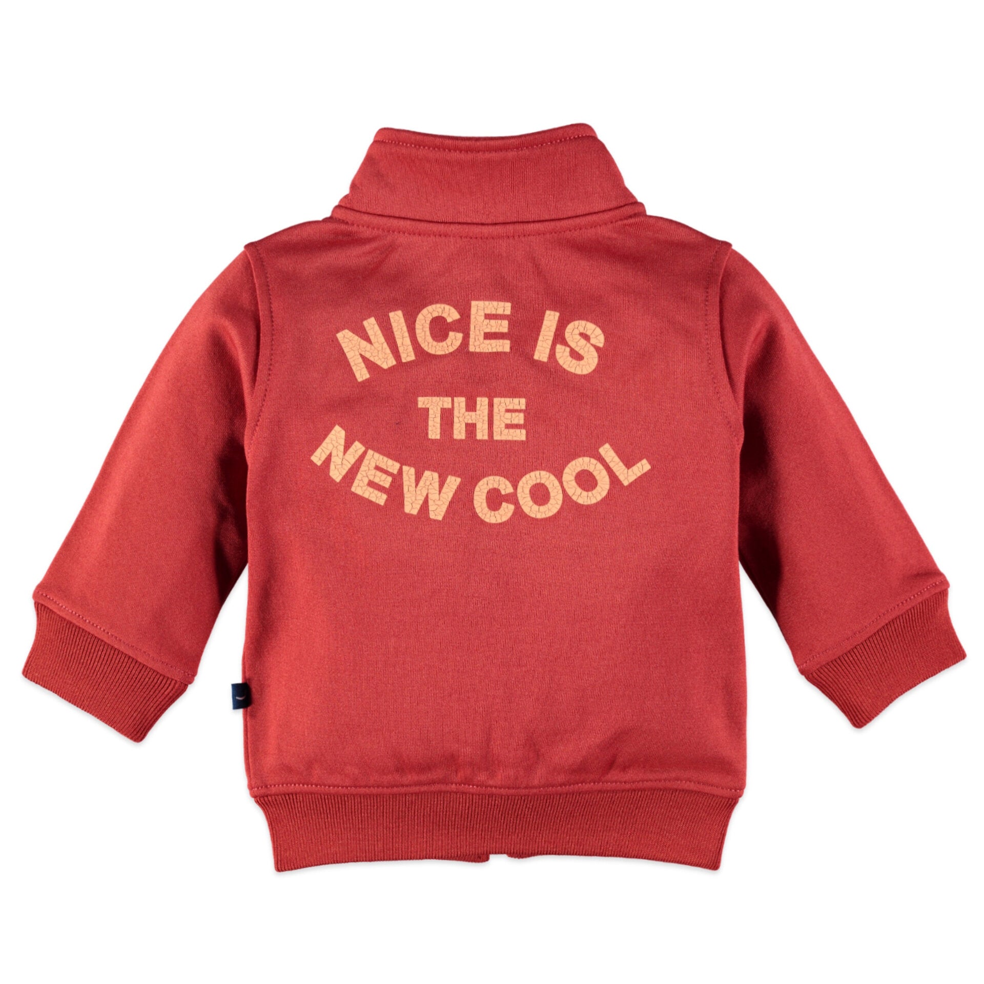 Детски Суитшърт За Момче С Цип, 86 См. 18 24 М. Babyface