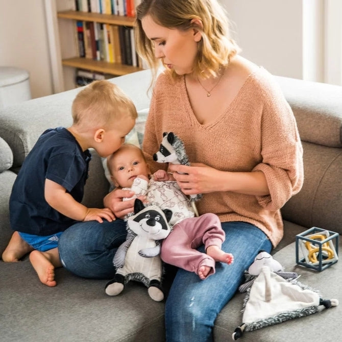 Играчка За Бебета Racoon Rocky --- BebeMama