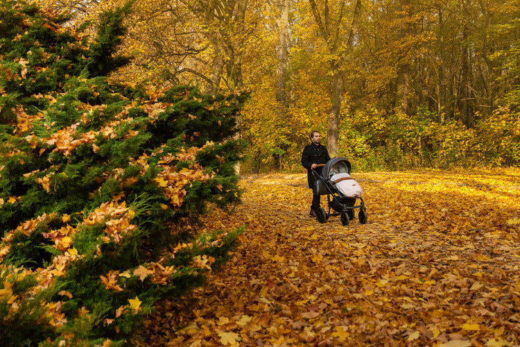 Geantă de iarnă Indiana Gri
