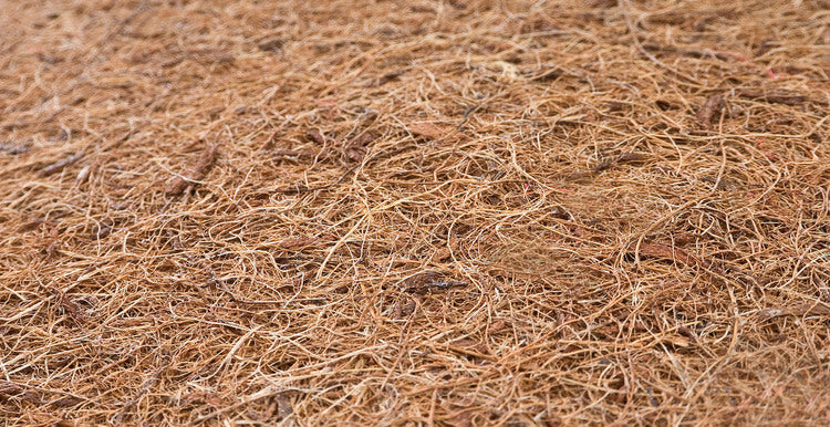 Матрак С Алое Вера 120X60 (11 См) --- BebeMama