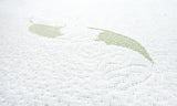 Saltea cu Aloe Vera 120 X 60 (12 cm)