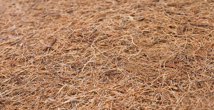 Матрак С Алое Вера 120 X 60 (12 См) --- BebeMama