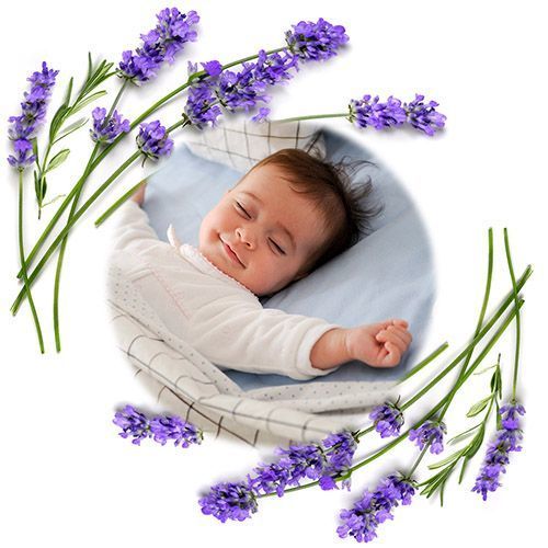 Babyono Take Care Възглавничка Против Колики Розова