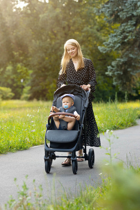 Количка Елма Синя Caretero