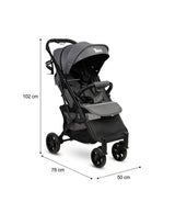 Cărucior Trail Graphite