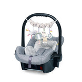 Cărucior și scaun auto Babyono, jucărie pentru natură