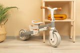 Tricicletă și bicicletă de echilibru 2 în 1 Faro Gri Caretero Toyz