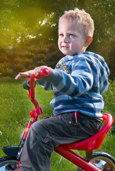 Триколка Yоrk Зелен Caretero Toyz
