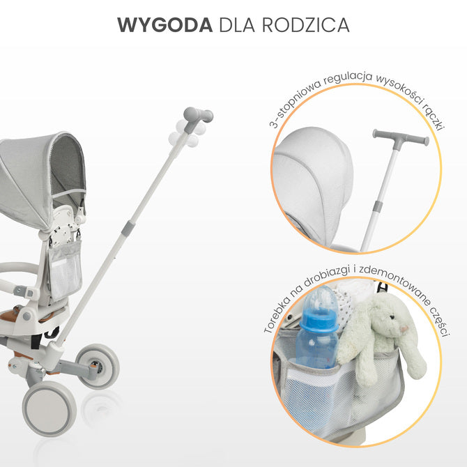 Tricicletă și bicicletă de echilibru 2 în 1 Faro Gri Caretero Toyz