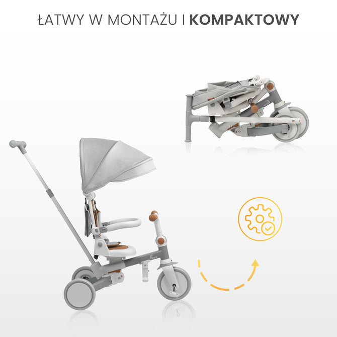 Tricicletă și bicicletă de echilibru 2 în 1 Faro Gri Caretero Toyz