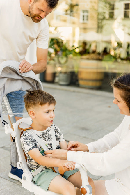 Tricicletă și bicicletă de echilibru 2 în 1 Faro Green Caretero Toyz