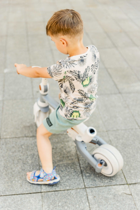 Tricicletă și bicicletă de echilibru 2 în 1 Faro Gri Caretero Toyz