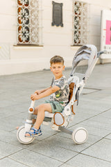 Tricicletă și bicicletă de echilibru 2 în 1 Faro Gri Caretero Toyz