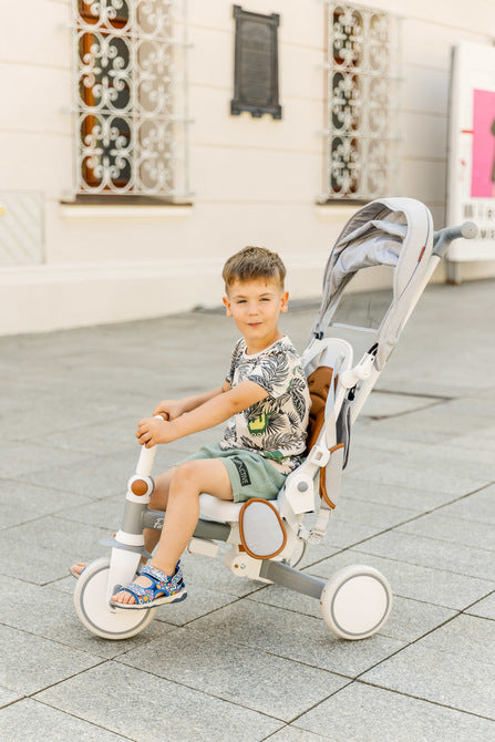 Tricicletă și bicicletă de echilibru 2 în 1 Faro Gri Caretero Toyz