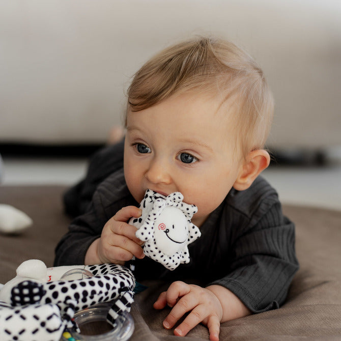 Мека Книжка Черно-Бяла Совичка Sensillo