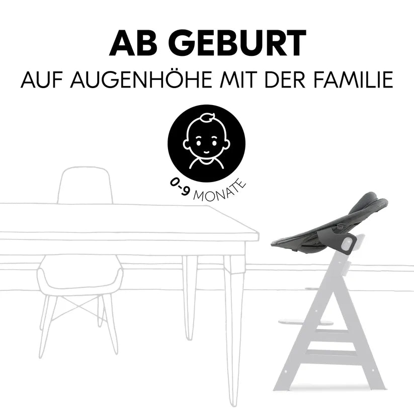 Бебешка Люлка Alpha Bouncer Premium Dark Grey Hauck