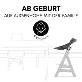 Бебешка Люлка Alpha Bouncer Premium Dark Grey Hauck