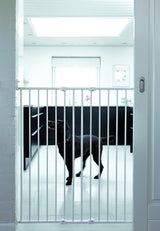 Barrier Babydan Pet Streamline