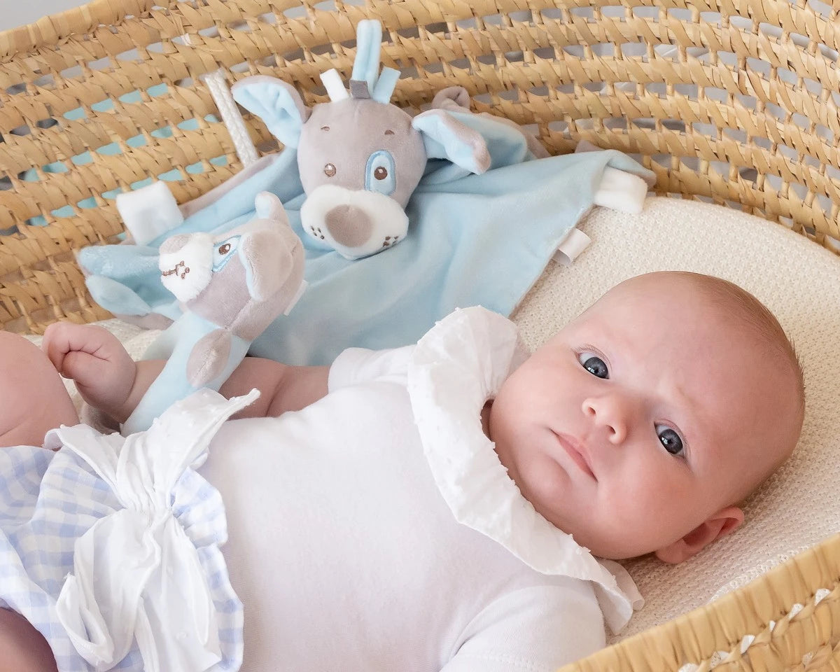 Бебешки Меки Плюшени Играчки Кученца 04396 2 Kiokids