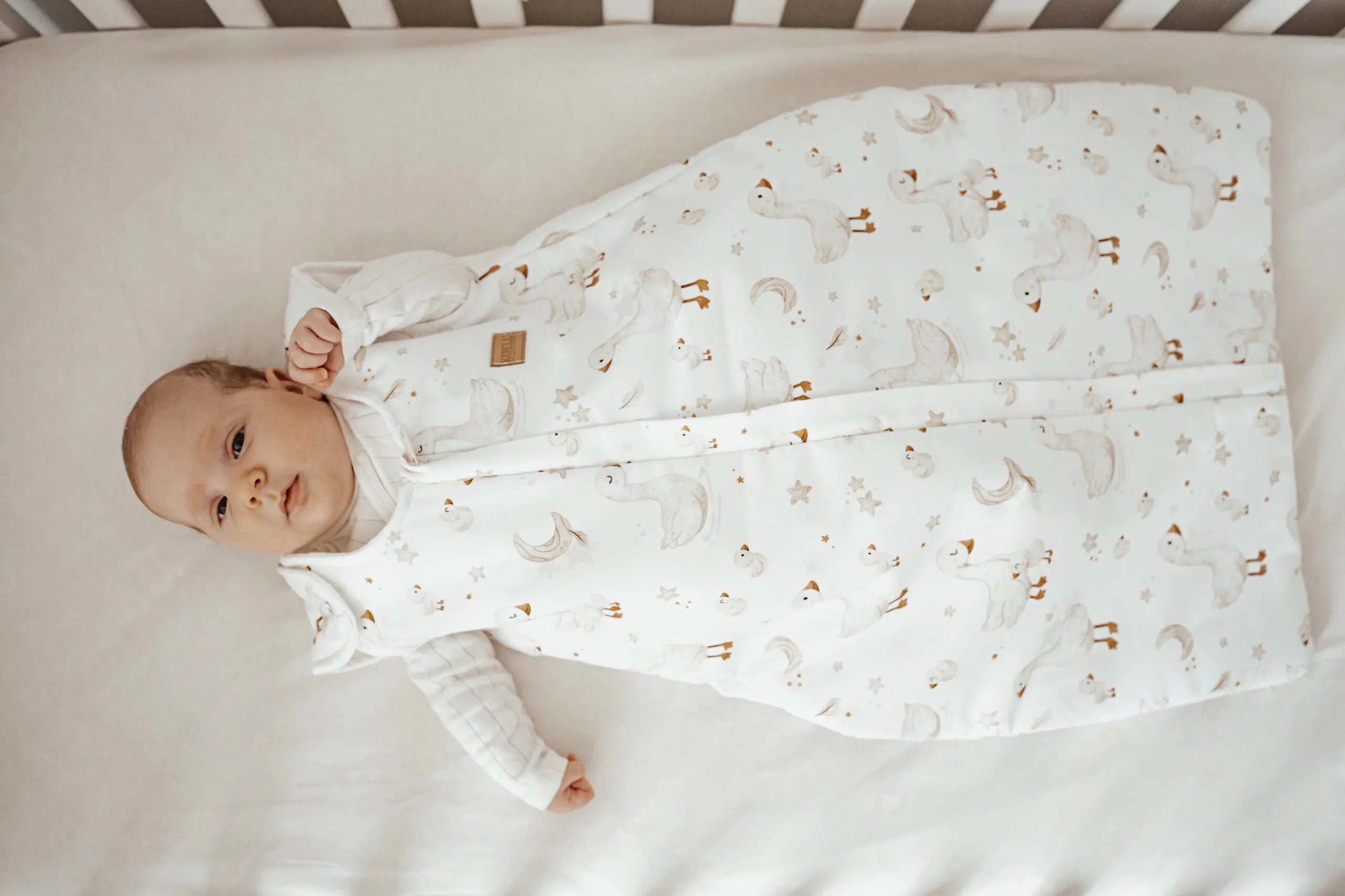 Бебешки Чувал За Спане (0 6 М.) 1.0 Tog Mama Goose Koell