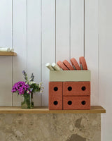 Бебешка Проходилка 3в1 Burnt Orange Dusty Green Modu