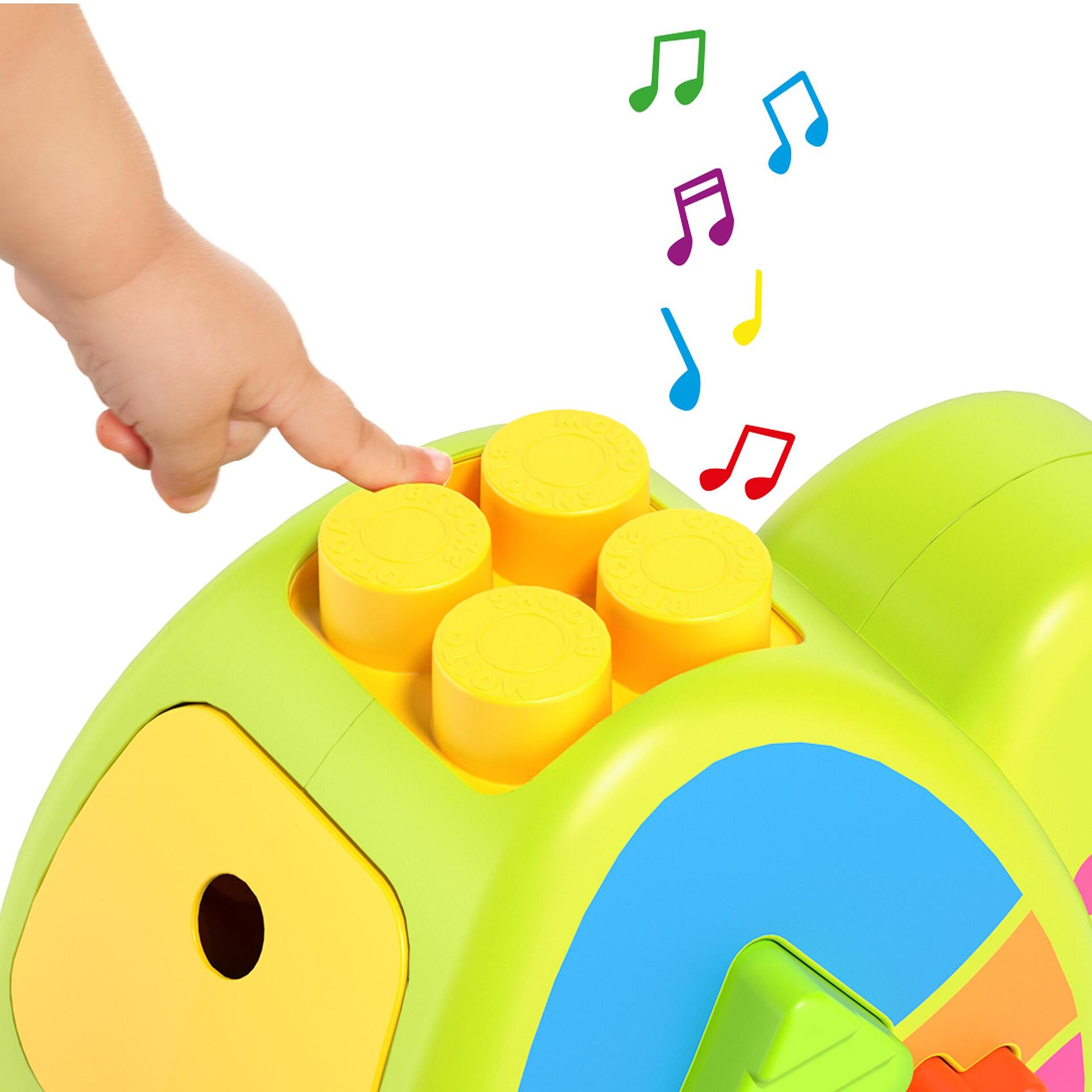 Детски Сортер Activity Turtle 12 Елемента 24501 Molto
