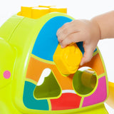 Детски Сортер Activity Turtle 12 Елемента 24501 Molto