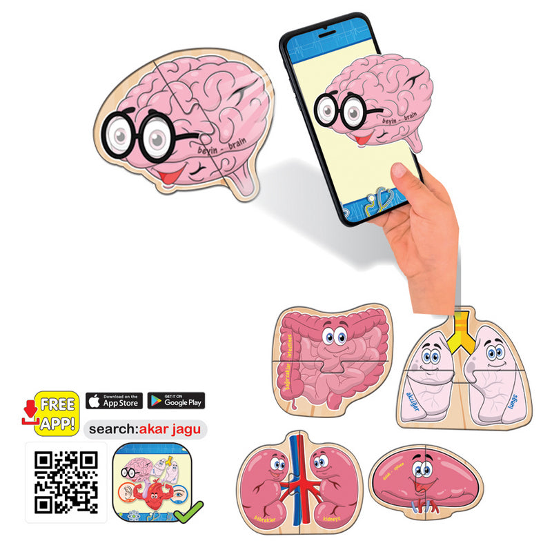 Говорещи И Разказващи На Български Пъзели Ортаните В Човешкото Тяло За Най Малките С Размери 11Х10 Общо 30 Ел. 10 Модела По 2 Ел. С Добавена Реалност 20Х17Х4 На 16 Езика От Еva Пяна