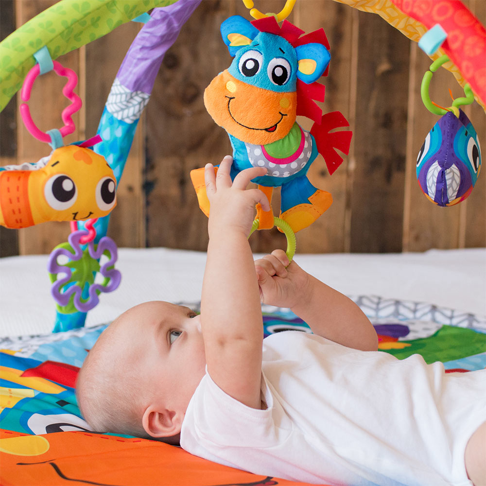 Музикална Активна Гимнастика Кончето Хоп Троп 0м+ Playgro