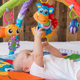 Музикална Активна Гимнастика Кончето Хоп Троп 0м+ Playgro