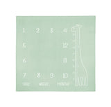 Муселинова Фотоподложка Giraffe Mint 120x120см