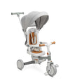 Tricicletă și bicicletă de echilibru 2 în 1 Faro Gri Caretero Toyz