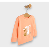 Bluză cu mânecă lungă Rainy Baby Iepuraș cu fluture 56-92 cm. piersică
