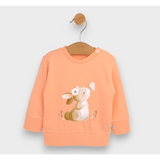 Bluză cu mânecă lungă Rainy Baby Iepuraș cu fluture 56-92 cm. piersică