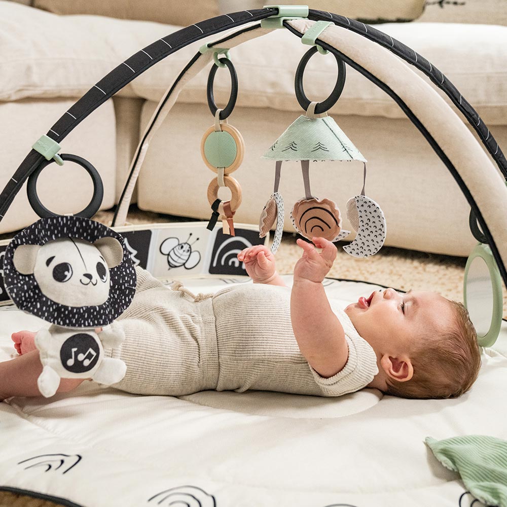 Активна Гимнастика Black&white Decor, 0м+ Tiny Love
