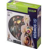 Анатомия Човешка Бременност - Образователни Игри - Thames & Kosmos - BebeMama