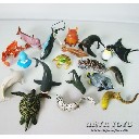 Рибка 20 Вида - Играчки - Raya Toys - BebeMama