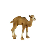 Камилче-131 - Играчки - Raya Toys - BebeMama