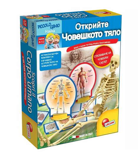 Малък Гений Бг Открийте Човешкото Тяло - Образователни Игри - Lisciani - BebeMama