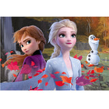 Пъзел 24Ч. Frozen 2 Df Plus --- BebeMama