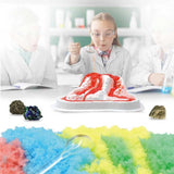 Детска Образователна Игра - Природен Феномен --- BebeMama