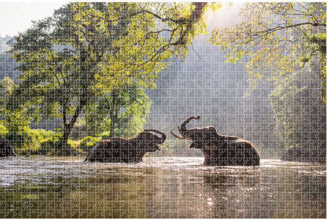 Puzzle 1000 de piese Animal Planet Elefanți în lac Dimensiune 73x48
