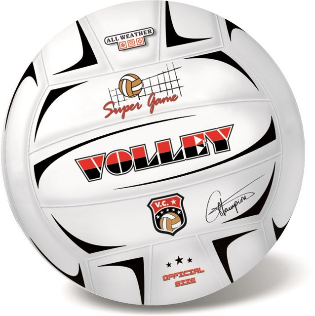 Minge de volei Champions 21 cm 250 g