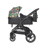 Flori tropicale pentru viole E.Cart+Adaptoare