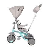 Триколка Lucky Crew Grey&green Lorelliemotion