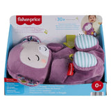 Jlh41 Маймуна Спяща Soothe `n Snuggle Fisher Price