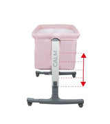 Мини Кошара Calm Pink Asalvo Asalvo
