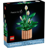 Спатифилум Lego